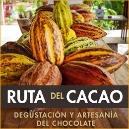 Cacao Ruta