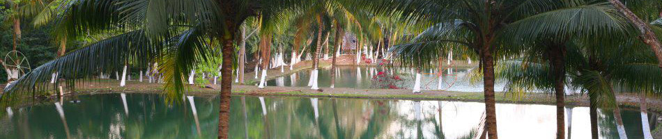El Ocote Lagunas