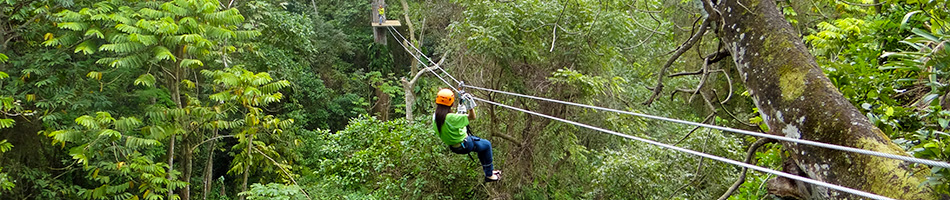 El Ocote Canopy Laguna