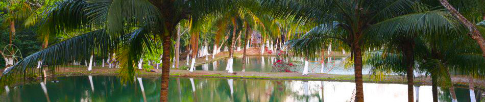 El Ocote Verano 2014
