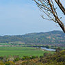 Ocote Montaña
