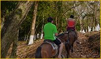 Paseo a Caballo